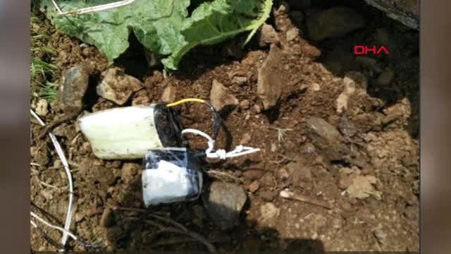 Kuzey Irak, Çukurca ve Cudi Dağı'ndaki Operasyonlarda 35 Eyp İmha Edildi