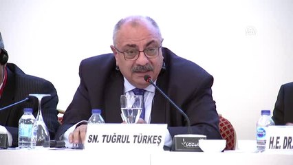 21. Avrasya Ekonomi Zirvesi - Bosna Hersek Cumhurbaşkanı İvaniç - İstanbul