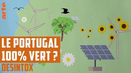 Le Portugal 100% vert ? - DÉSINTOX - 11/04/2018