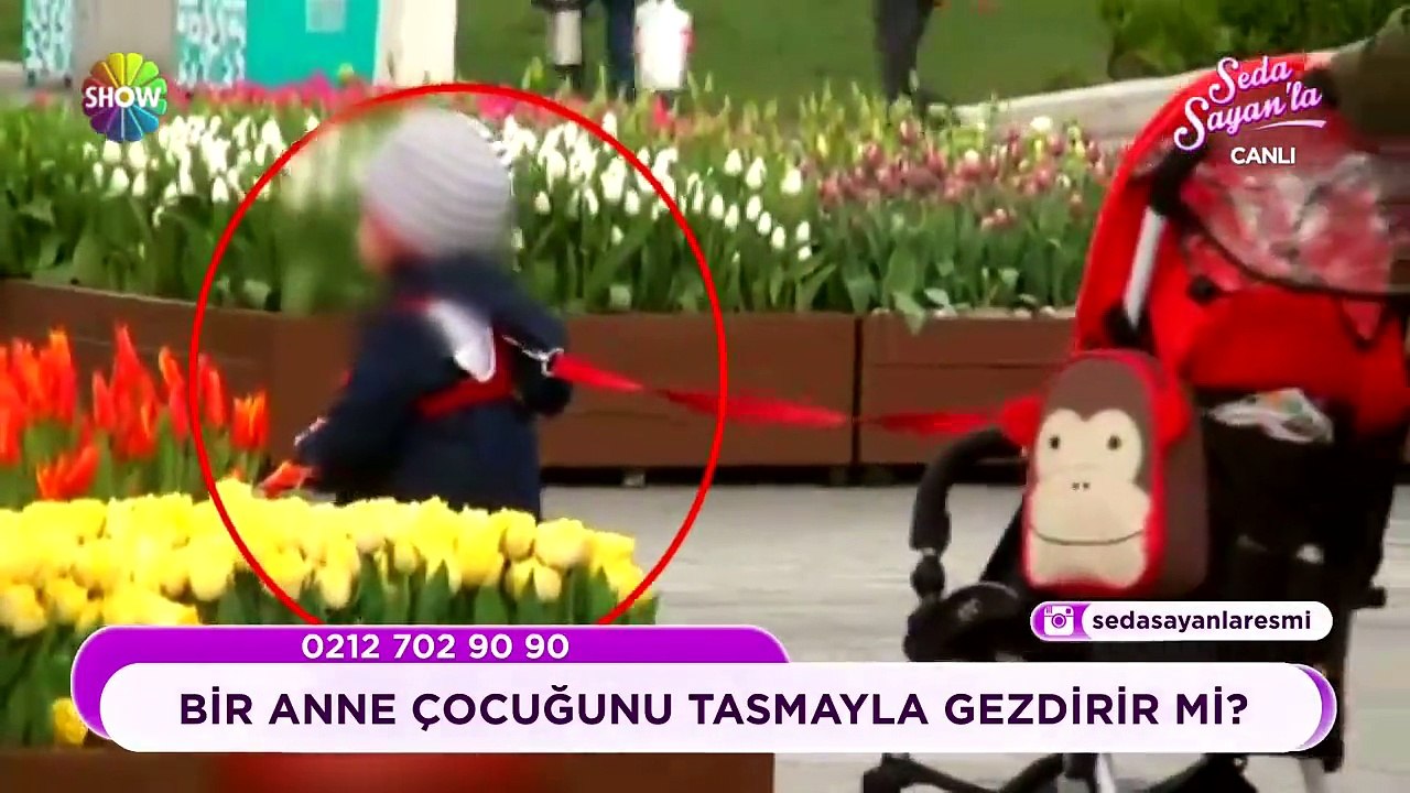 Bir anne çocuğunu tasmayla gezdirir mi?