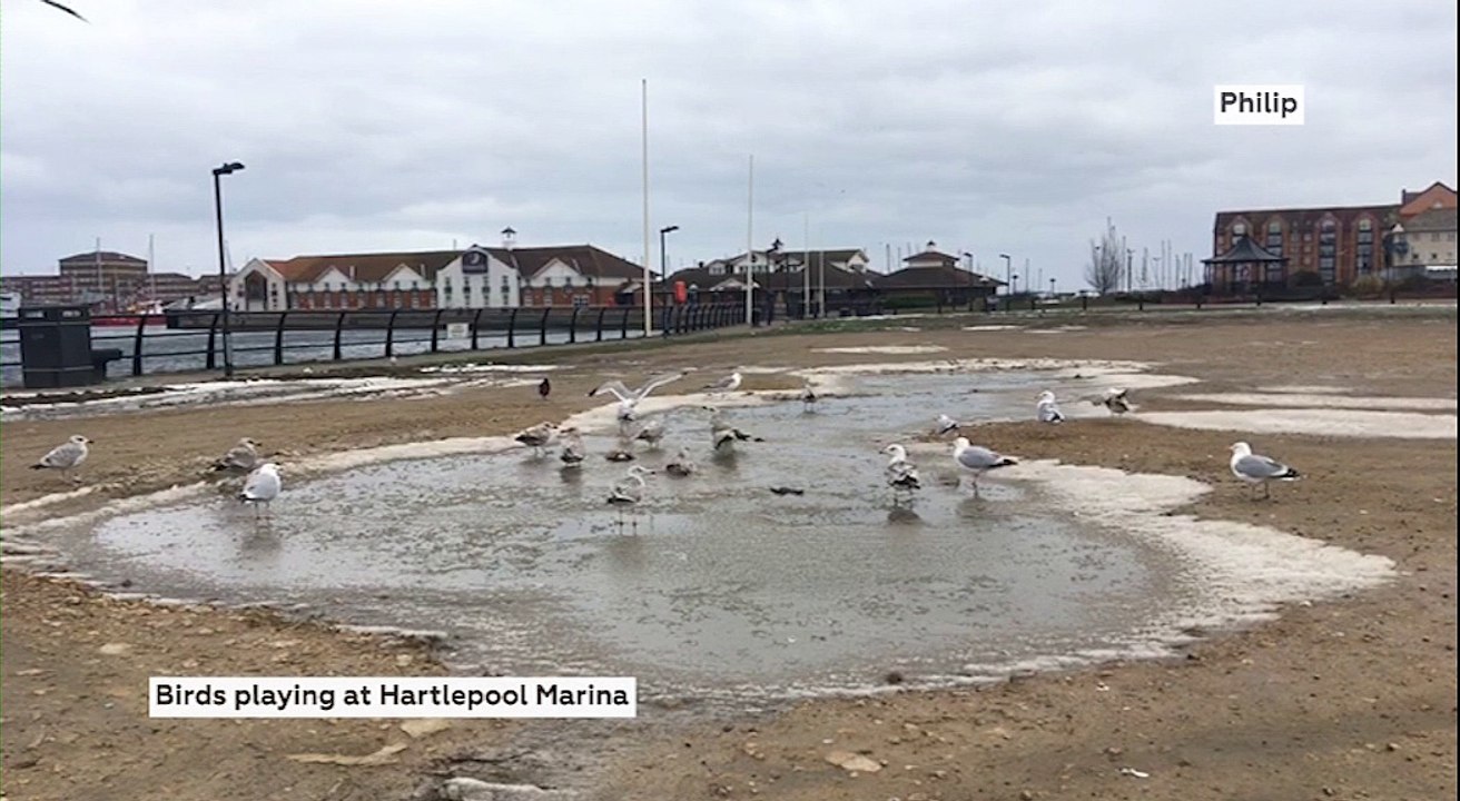 Hartlepool Footage