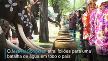 Batalha de água dos elefantes