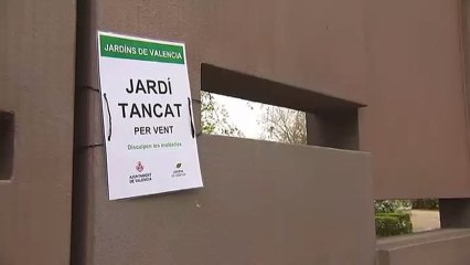Un niño herido grave al caerle un arbol encima