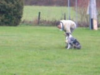 10 nov2007 entrainement 021