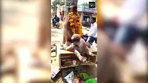 مقطع فيديو مؤثر لقرد رضيع يحتضن والدته التي ماتت نتيجة لصعقة كهربائية أثناء تنقّلها على أعمدة الكهرباء بإحدى القرى الهندية#الوطن #منوعات