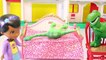 DINOSAUR HOSPITAL Doc McStuffins Toys Video with Good Dinosaur ARLO Cheese-Puffs-Itis