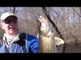 Green Bay Walleye Fishing new