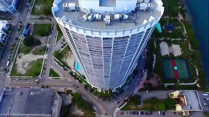 Fresh Wasabi Stem - How To Make Sushi Series