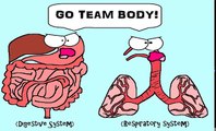 (OLD VIDEO) Human Body Systems: The 11 Champions