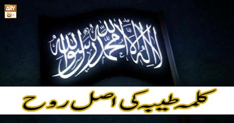 Roshni Sab Kay Liye - 11th April 2018