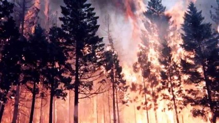 Strange Sounds in the Sky Explanations