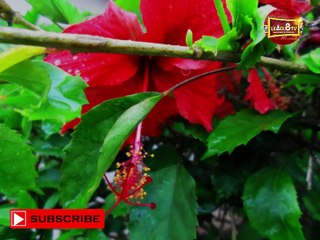 INSPIRATIONAL MESSAGE: BE HAPPY