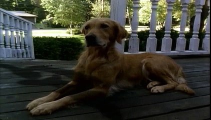 Goosebumps S02E05 The Headless Ghost