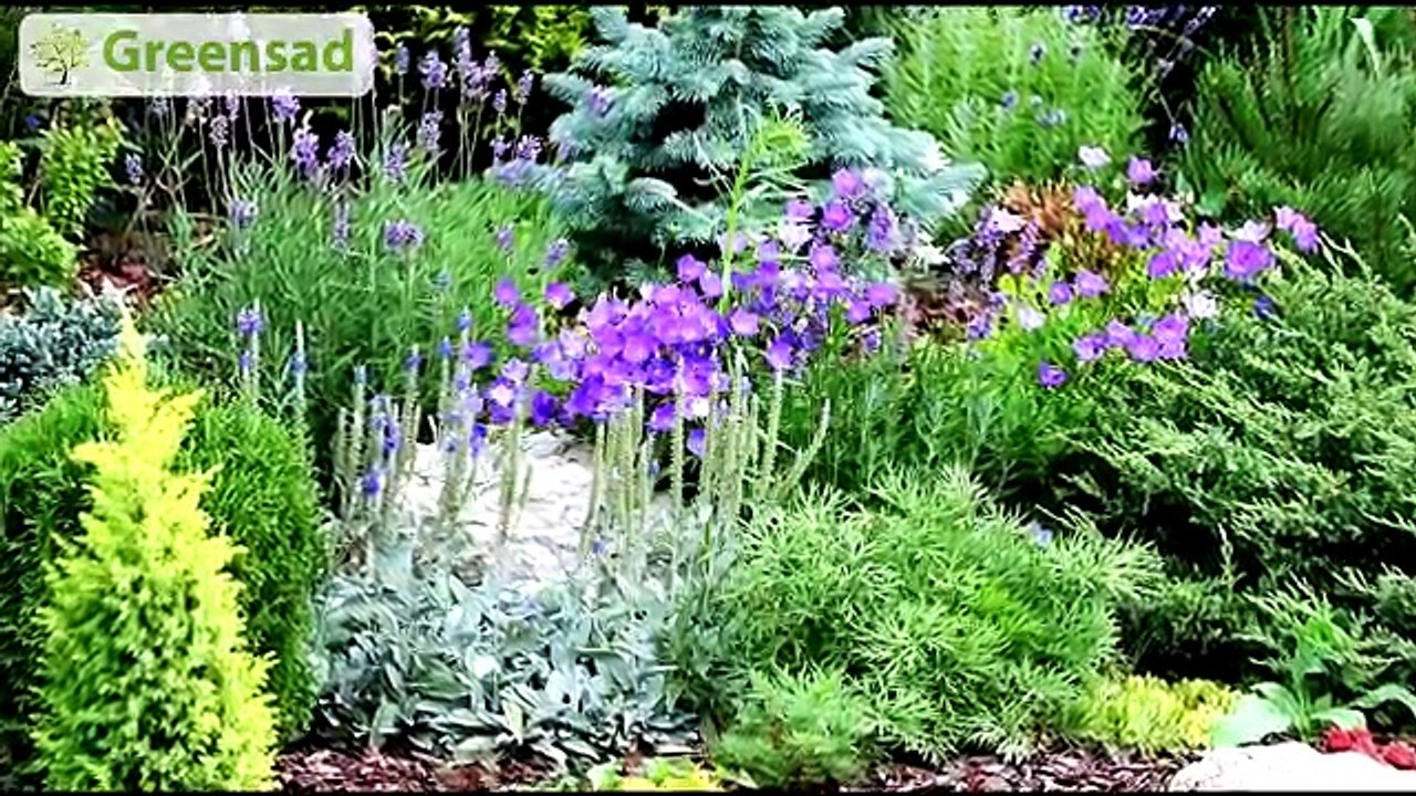 Как уничтожить сорняки на своем участке