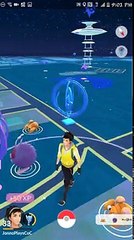 Incredible Double Nest! Howe Park and Santa Anita Park in Sacramento, California