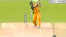 Best Destructive Pace Bowling in Cricket ● Stumps Broken ● Stumps Flying in Air ●