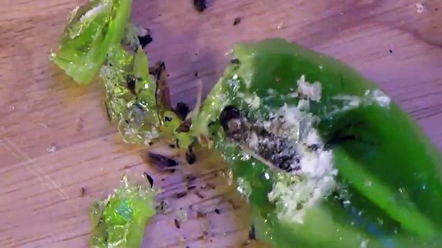 Insect Lollipop - nasty & disgusting