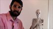 How to Learn the Human Bones | Tips to Memorize the Skeletal Bones