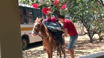 Guilherme, o pesti di minino, pegou a televisão do Avô e botou a culpa no Haroldo....kkkkk