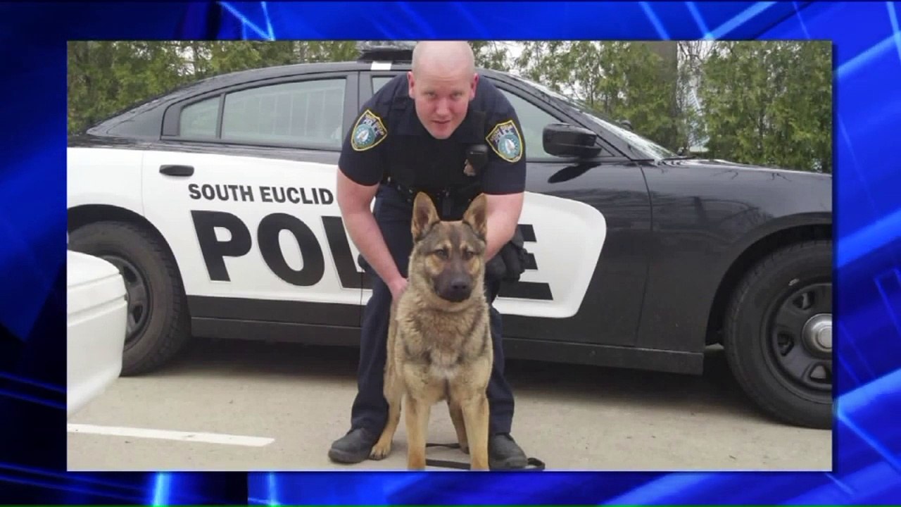 Ohio Veterinary Hospital Raises Thousands to Help Police Department Get New K-9 Officer