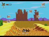 Desert Demolition Starring Road Runner And Wile E. Coyote - Sega Genesis © 1994 Sega