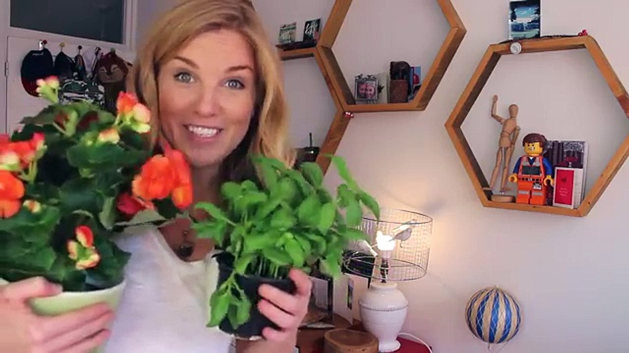 How to Deal with Exam Stress and Anxiety | Science of Study #6 | Maddie Moate