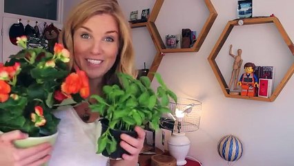 How to Deal with Exam Stress and Anxiety | Science of Study #6 | Maddie Moate