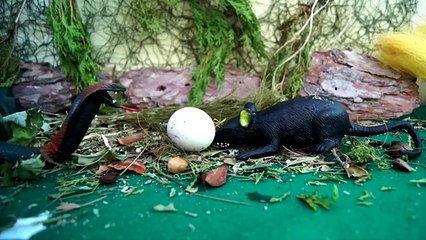 ЯЙЦО ЗМЕИ! БИТВА С КРЫСОЙ! Мультики для детей. Игрушки.