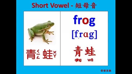 abc音標發音 - O的短母音 (KK Phonics - Short Vowel pronunciation for letter O)