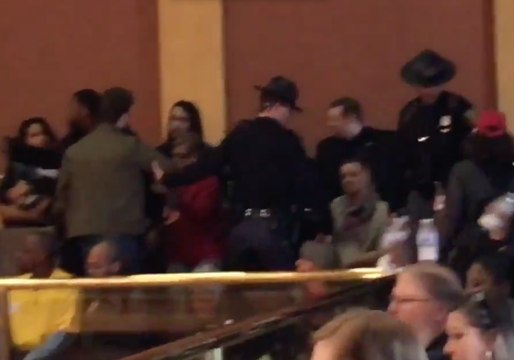 Protester Arrested During Flint Water Fight at the State Capitol