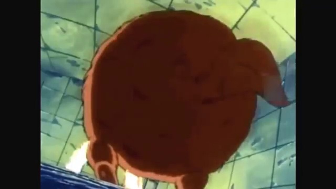 Tanuki Inflation