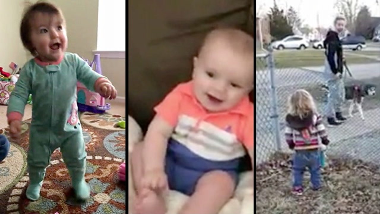 Can't Get Enough Dancing And (Barking) Babies!