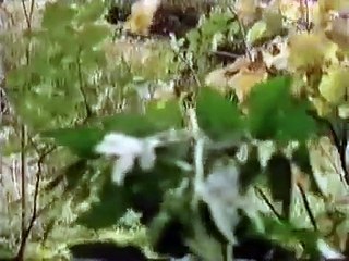 Covington Cross (1992) S01E05 - El heroe [Español]