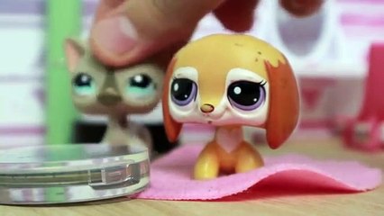 LPS: Salon Makeover FAIL! (Short Film)
