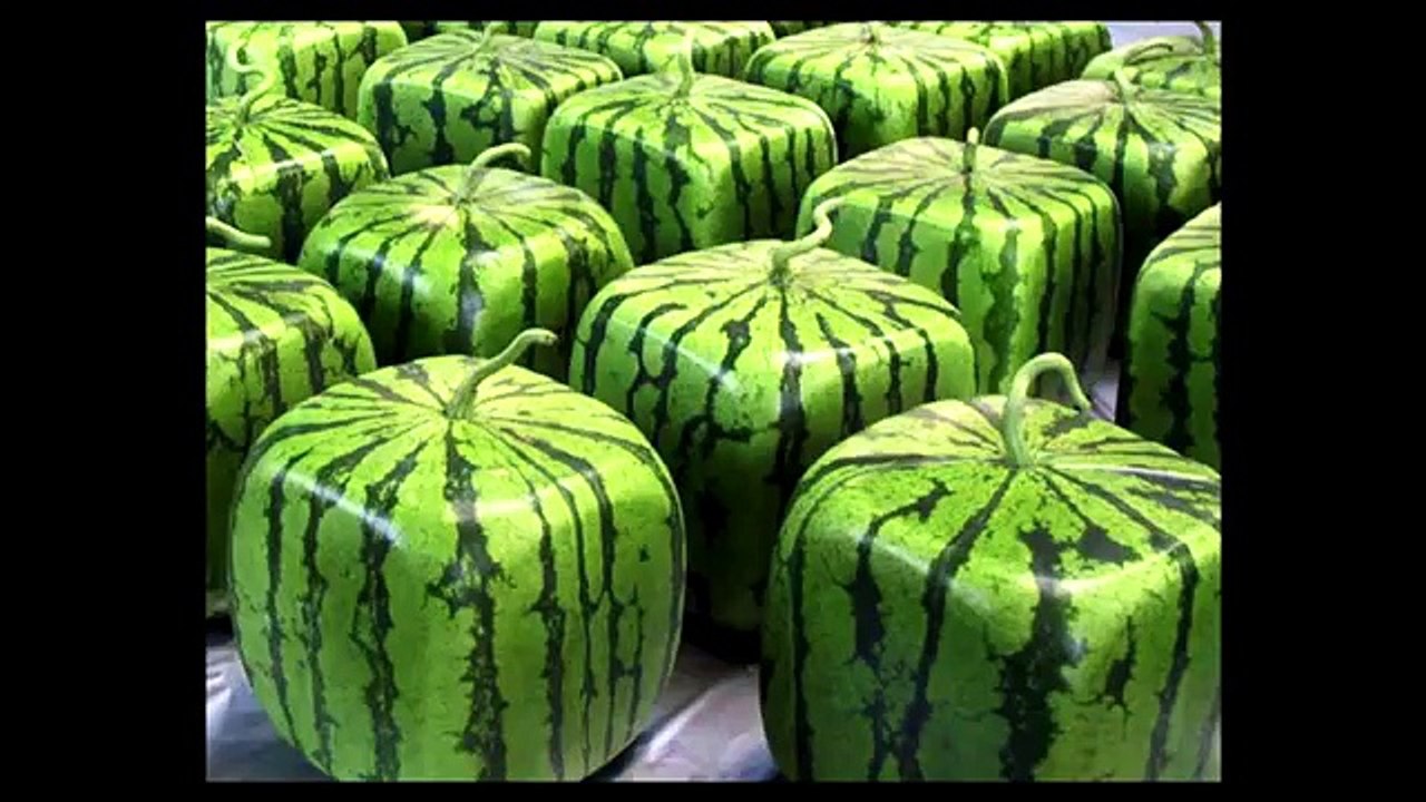 Что, если Земля будет кубом, а не шаром?