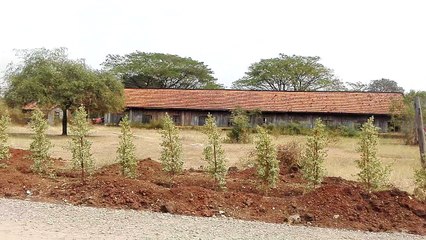 Come on all guys to ride bamboo train in BTB