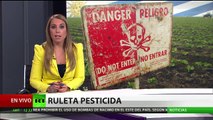 Fumigación ilegal a cultivos causa serios problemas de salud a uruguayos