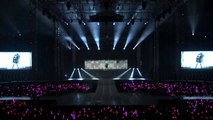 Devil's Cry - SNSD Taeyeon @2011 Girls' Generation Tour