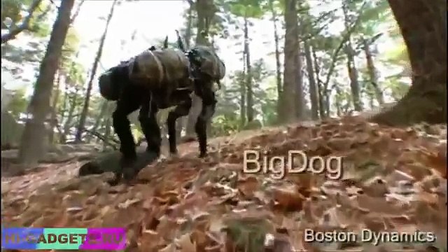 ТОП 10 роботов Boston Dynamics. Лучшие современные роботы мира. | HI-TOPS.
