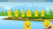 Six Little Ducks Rhymes || Nursery Rhymes Videos || Rhymes Of CBSC Board || English Rhymes For Children