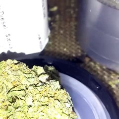 Mariguana Head Shop| Buy Marijuana Online| Buy Cannabis Oil Online| Buy Marijuana Seeds Online|Buy Weed Online