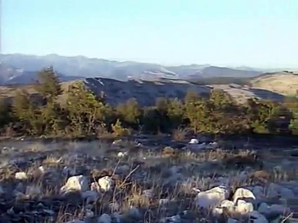 Snake Documentary Montpellier Snake Documentary: Abenteuer Wildnis - Der giftige Koenig der Provenc