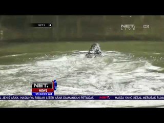 Ditinggal Mati Pemiliknya, Buaya Lari Ke Sungai -NET5
