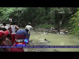 Ditinggal Mati Pemiliknya, Buaya Lari Ke Sungai -NET24