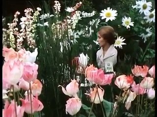 L'ile aux 30 cerceuils 1 sur 2 part 3/5