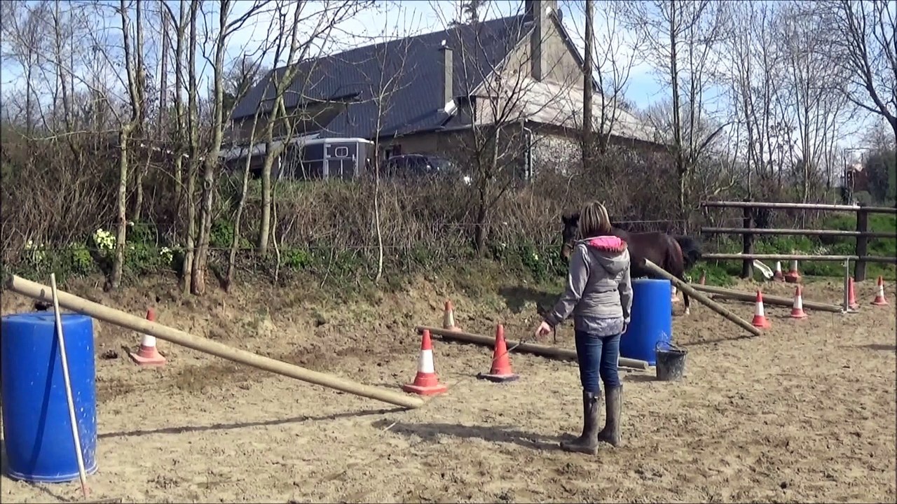 Falkho des Edènes 3 ans entraînement 2