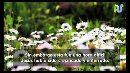 ORACION de la Mañana de FORTALEZA ESPIRITUAL, ANIMO, FE Y ESPERANZA en Cristo