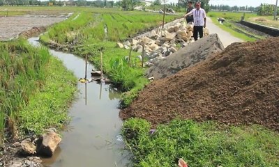 Padat Karya Tunai, "Bantuan Langsung" Era Jokowi