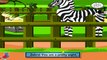 Zebra Prancing in the Zoo Rhymes || Nursery Rhymes Videos || Rhymes Of CBSC Board || English Rhymes For Children