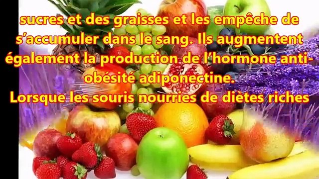 Bienfaits des anthocyanines pour la santé